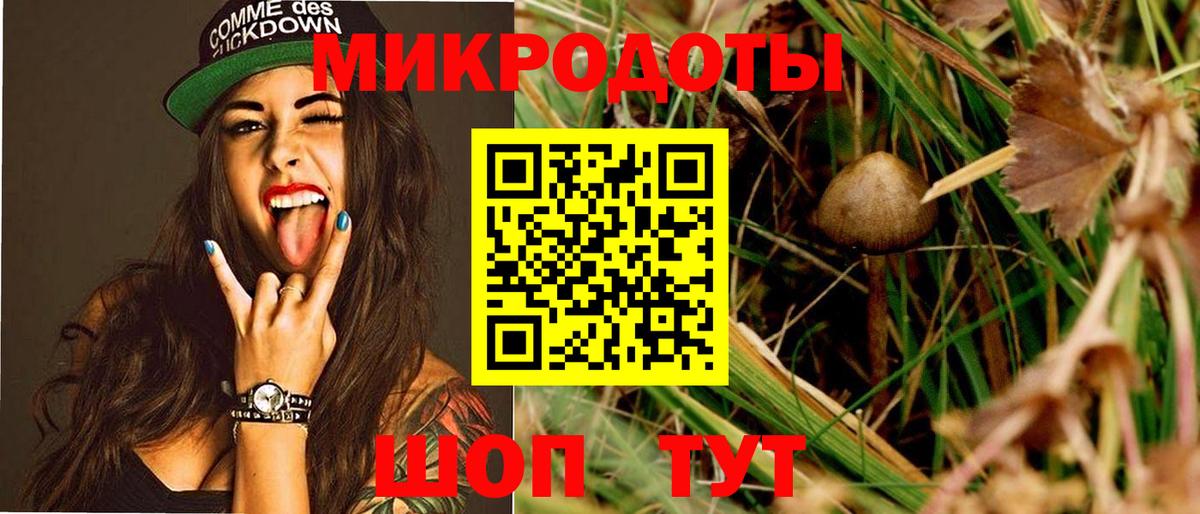 Галлюциногенные грибы прущие грибы  Галлюциногенные грибы мухоморы  Вход с VPN  Бутурлиновка 